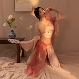 Light pink [outer robe - skirt - undergarment - thong]