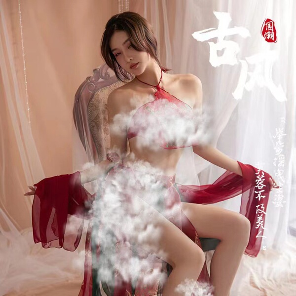 Dunhuang feitian ancient chinese hanfu costume set featuring a sexy sheer embroidered bodice with matching ensemble, perfect ...