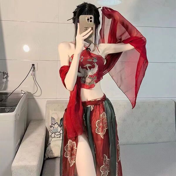 Seductive Sheer Chinese Hanfu Lingerie Set - Vintage Imperial & Republican Era Embroidered Costume, Plus Size Sensual Ou - Flying Apsara [Dudou + Shawl + Skirt + Underwear]