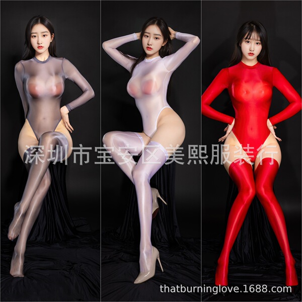 Wild Temptation Sheer Stretch Bodysuit - Sexy See-Through Lingerie Set for Bedroom Romance - Product Image