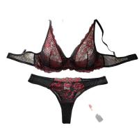 European-Style Sheer Lace Sexy Bra Set for Women – Pure & Tempting Lingerie Ensemble with Push-Up Support thumbnail