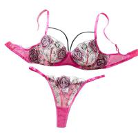 European Summer Sheer Lace Lingerie Set – Sensual Transparent Bra & Panty Set for Women thumbnail