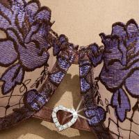French Lace Sexy Lingerie Set - Sheer Mesh Bra & Thong with Underwire & Ties thumbnail