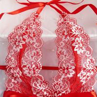 Lace Sheer Bodysuit for Women - Sexy European Style Erotic Lingerie, Full-Body Transparent Design thumbnail
