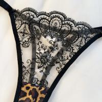 Leopard Print Sexy Lingerie Set - Sheer Mesh Pure & Sensual Bra and Panty Set for Women thumbnail