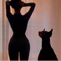 Purple Lace Backless Tight T-Shirt - Sexy Sweet & Spicy Sheer High-Neck Long Sleeve Lingerie Top thumbnail
