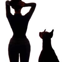 Purple Lace Backless Tight T-Shirt - Sexy Sweet & Spicy Sheer High-Neck Long Sleeve Lingerie Top thumbnail