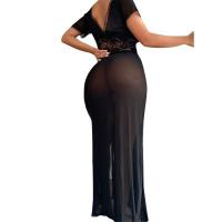 Sexy Lace Mesh Slit Long Dress for Women –Europe and America-Style Sheer Nightclub & Lingerie Dress thumbnail