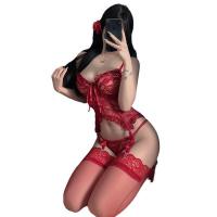 Manyan New Year Lingerie Set - Sexy V-Neck Backless Lace Corset with Underwire Push-Up Bra & Matching Garter Belt thumbnail
