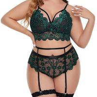 Plus Size Sexy Lace Sheer Lingerie Set - Erotic Bra & Panty Wholesale for US/EU Markets thumbnail