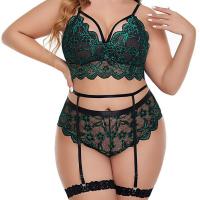 Plus Size Sexy Lace Sheer Lingerie Set - Erotic Bra & Panty Wholesale for US/EU Markets thumbnail