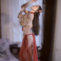 Pure & Alluring Vintage Chinese Hanfu Lingerie Set – Dunhuang Flying Phoenix Embroidered Halter Bodice & Gauzy Skirt thumbnail