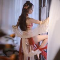 Pure & Alluring Vintage Chinese Hanfu Lingerie Set – Dunhuang Flying Phoenix Embroidered Halter Bodice & Gauzy Skirt thumbnail