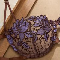 Russian Lace Sheer Sexy Lingerie Set – Premium French-Style Pure & Tempting Bra and Panty Set thumbnail