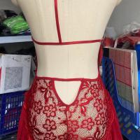 Sexy Lace Bodysuit for Women - Sheer Transparent Erotic Lingerie, Plus Size Seductive One-Piece Outfit thumbnail