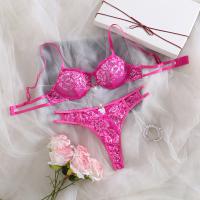 Sexy Lace Bra Set for Women - Alluring Plus Size Lingerie Set, Romantic & Sensual Outfit thumbnail