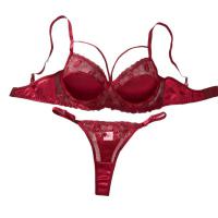 Sexy Lace Embroidery Lingerie Set – European and American Pure Seduction Bra & Thong Collection for Women thumbnail