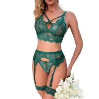 Sexy Lace Lingerie Set for Women – Sheer Transparent Matching Bra & Panty Collection, Multi-Color Temptation Outfit thumbnail