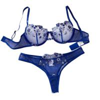 Transparent Mesh Lace Bra Set - Sexy Push-Up Lingerie Set with Embroidered Sheer Cup Design thumbnail