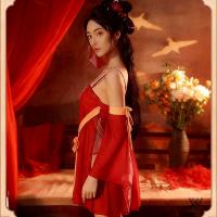 Vintage Chinese Court-Style Lingerie Set – Peony & Hanfu-Inspired Silk Robe with Veil and Sheer Tang Dynasty Skirt thumbnail