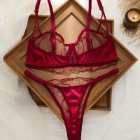 Wine Red Plus Size Lingerie Set - Sexy Sheer Mesh Bra & Panty Set with Lace Cutouts thumbnail