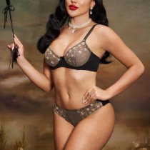 French-Style Sheer Lace Lingerie Set – Ultra-Thin Sensual Two-Piece Erotic Underwear for Women