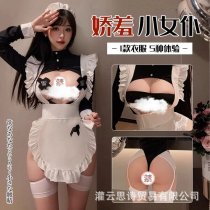 Anime Maid Costume Cosplay Dress - Cute Sexy Japanese Style Lingerie Outfit for Women