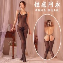 NightSigh NightSeduce Plus Size Seductive Lace Mesh Bodystocking - Sexy Tear-Away Open-Crotch Sheer Stocking Set