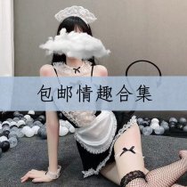 Playful Maid Costume for Women – Sheer Lace Sexy Lingerie Outfit with Free Shipping & Low Price