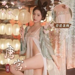Classical Chinese DUDOU Set - Palace-Style Hanfu Bra Top & Sheer Chiffon Innerwear Ensemble