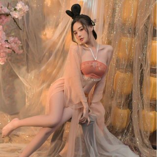 Seductive chinese-inspired lingerie set featuring hanfu-style design, perfect for sexy sleepwear and belly dance costumes.
