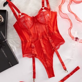 Luxury lace bodysuit featuring sheer design and garter straps, perfect for adult intimate wear with european style elegance.