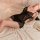 Woman in black lace sleepwear set lying on bed, sheer lingerie with floral details, seductive bedroom attire.