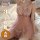Sheer pink bridal lingerie set with pearls, featuring a delicate 3-piece design for plus size women by yi ying.