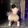 Woman kneeling in bird moon lace sheer lingerie set with tight bodycon skirt and white bow, holding pink roses.