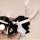 A person wearing a cute japanese lolita cosplay outfit, featuring a black skirt with white accents, sailor-style top, and thi...