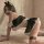 Sexy maid costume set featuring black lace lingerie and stockings, perfect for erotic sleepwear outfits.