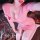 Sexy pink nurse costume with bodycon mini skirt and fishnet stockings, perfect for sultry nightclub style.