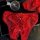 Escape princess lace cotton bikini panties for women – romantic pink sheer floral underwear with elegant bows and lace detail...
