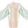 Transparent ancient chinese court lingerie set featuring sexy dunhuang flying apsaras bodice and long elegant dress, perfect ...
