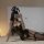 A woman poses in a black lace lingerie set featuring an open-crotch design, delicate bows, and sheer fabric, perfect for inti...