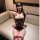 Sensual no-remove open-cup bodysuit for women, featuring modest design with lace details and stockings, perfect for plus-size...