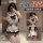 Sexy pure-yu schoolgirl outfit - cute jk uniform set with removable design, coquettish college style lingerie